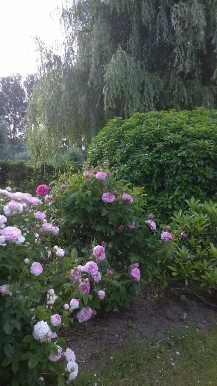 B&B Hier En Nu Heusden Dış mekan fotoğraf