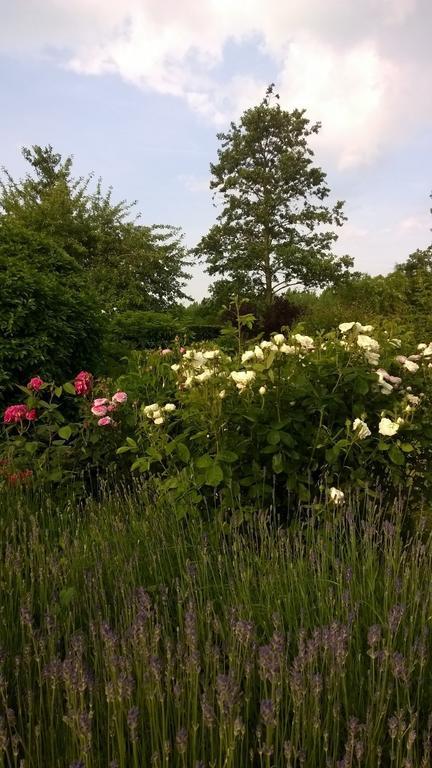 B&B Hier En Nu Heusden Dış mekan fotoğraf